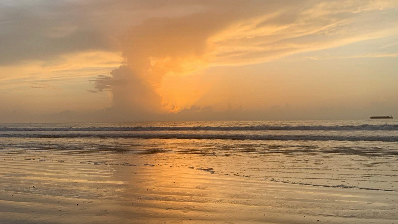 LÁGRIMAS NEGRAS W/ SPELLS FOR NATURE