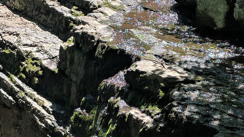 Submerged Mica w/ Glyn Maier