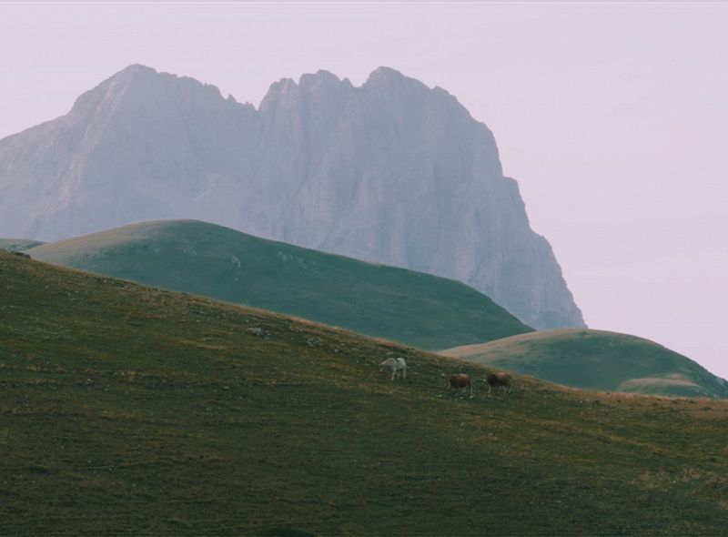 As I Was Moving Ahead - Italian Journey