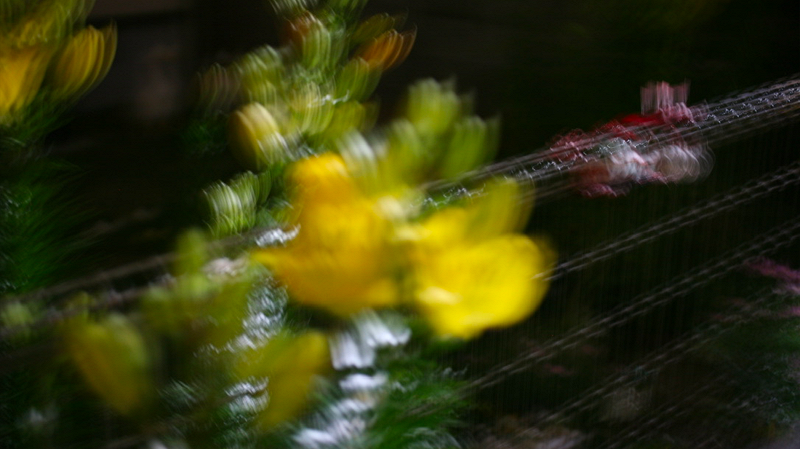 The Early Bird Show w/ PAM