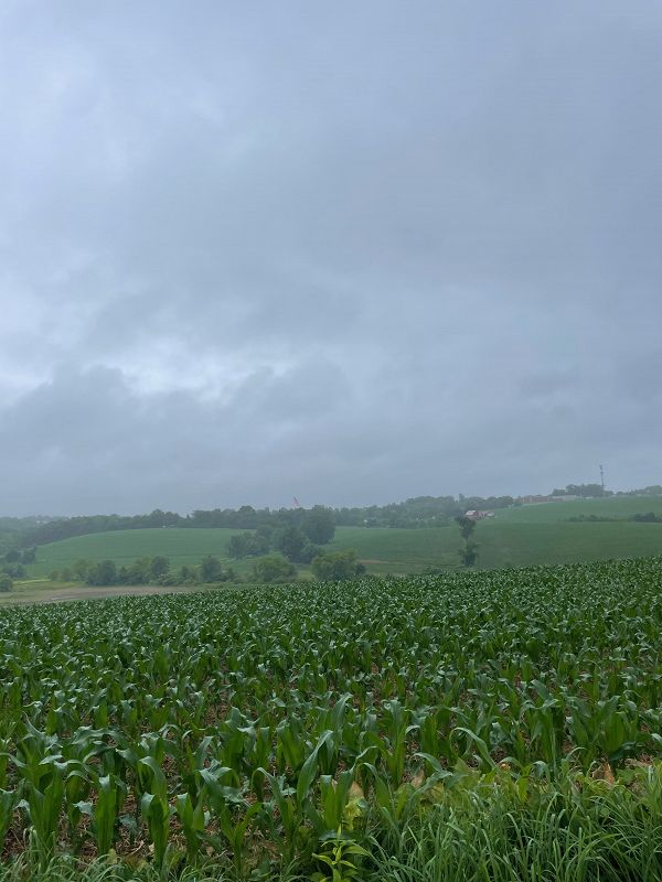 ACCEPTED VULNERABILITY W/ BROOCE