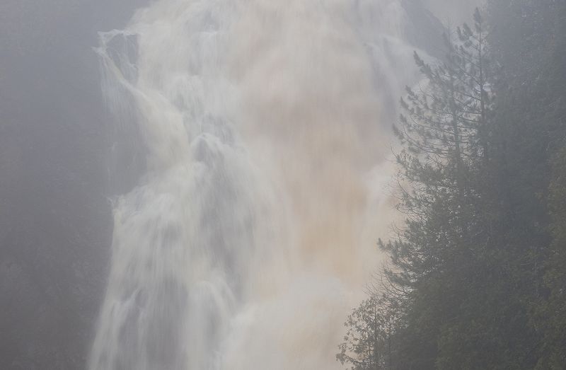 Sofie Birch w/ Kasper Bjørke