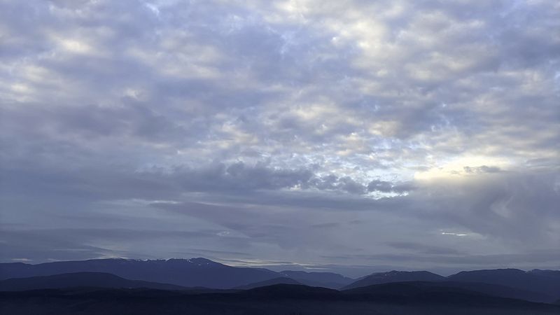 peace piece w/ Tolga Yağlı