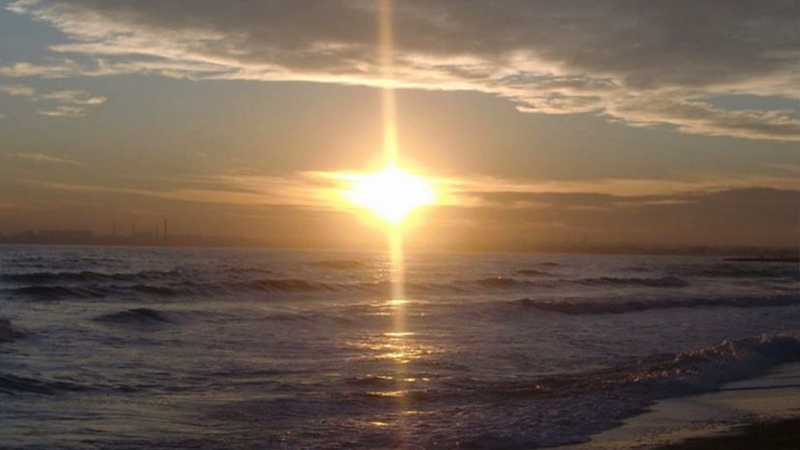 Cxema w/ Undo Despot